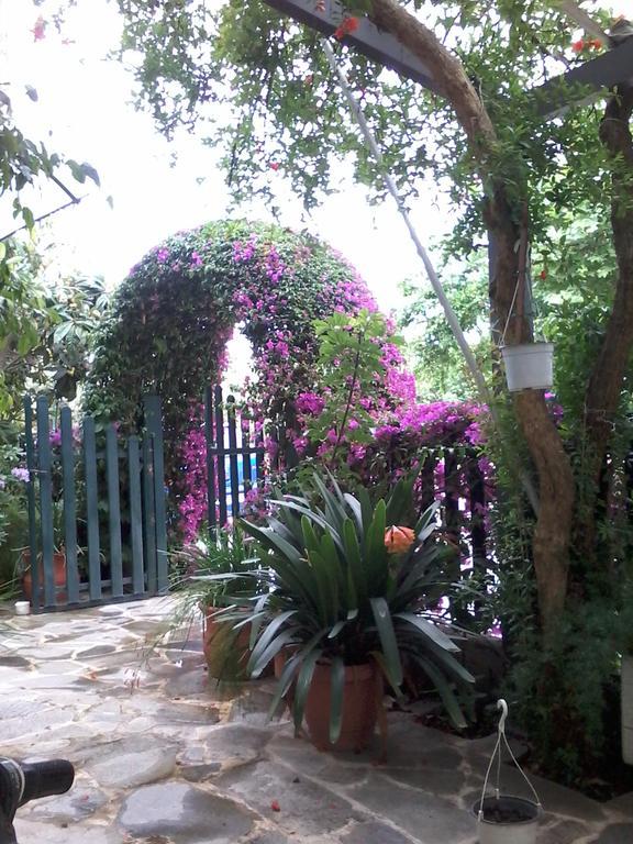 Hotel Ritsa Kamena Vourla Bagian luar foto